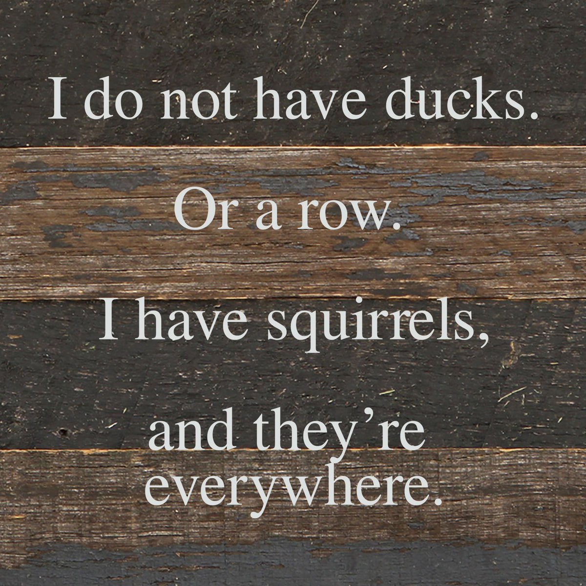 I do not have ducks. Or a row. I have squirrels, and they're everywhere. / 6"x6" Reclaimed Wood Sign