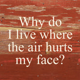 Why do I live where the air hurts my face? / 6"x6" Reclaimed Wood Sign