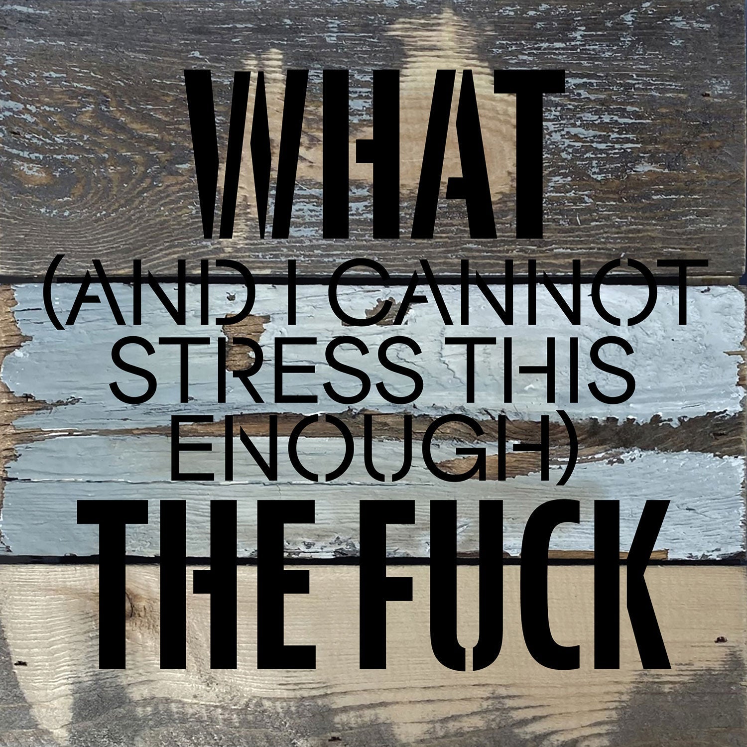 What (and I cannot stress this enough) the Fuck? / 8x8 Blue Whisper Reclaimed Wood Wall Decor