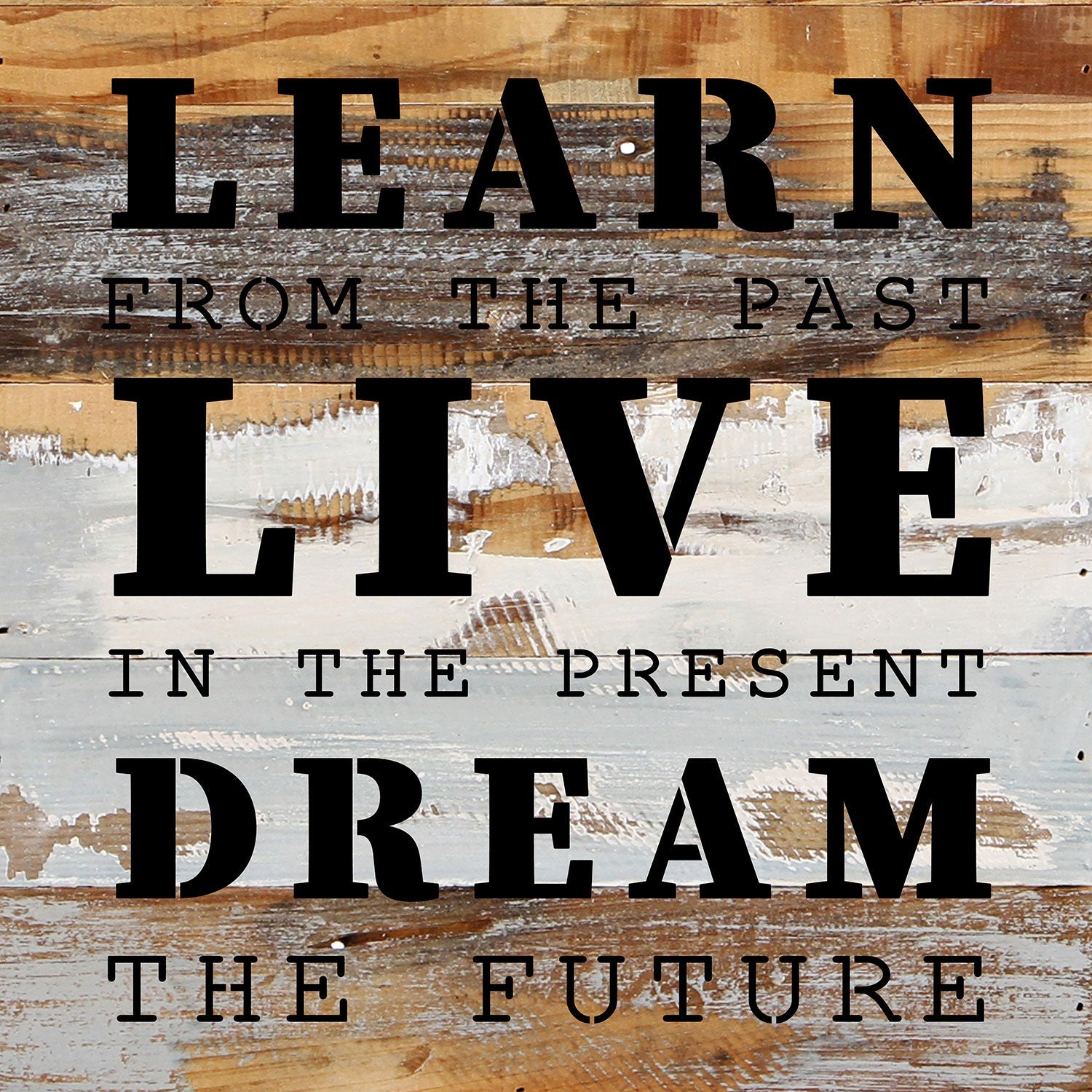 Learn from the past. Live in the present. Dream the future / 14x14 Reclaimed Wood Wall Decor
