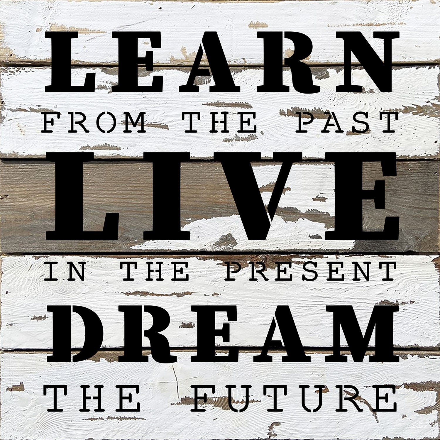 Learn from the past. Live in the present. Dream the future / 14x14 Reclaimed Wood Wall Decor