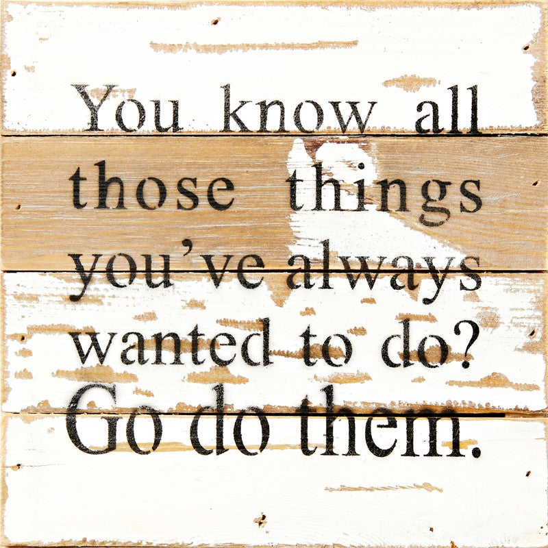 You know all those things you've always wanted to do? Go do them. / 8x8 Reclaimed Wood Wall Art
