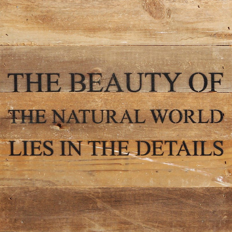The beauty of the natural world lies in the details. / 10"x10" Reclaimed Wood Sign