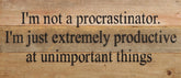 I'm not a procrastinator. I'm just extremely productive at unimportant things. / 14"x6" Reclaimed Wood Sign