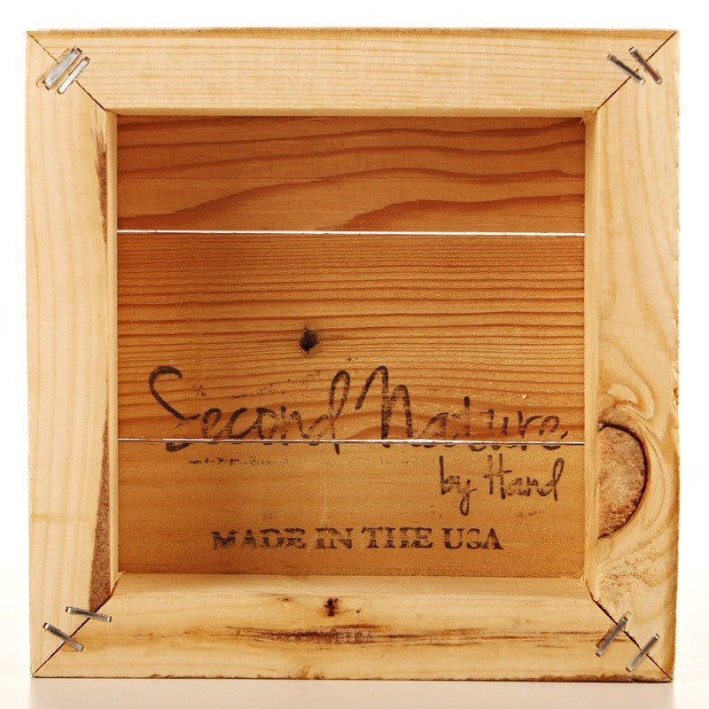 We repeat what we don't repair. / 6"x6" Reclaimed Wood Sign