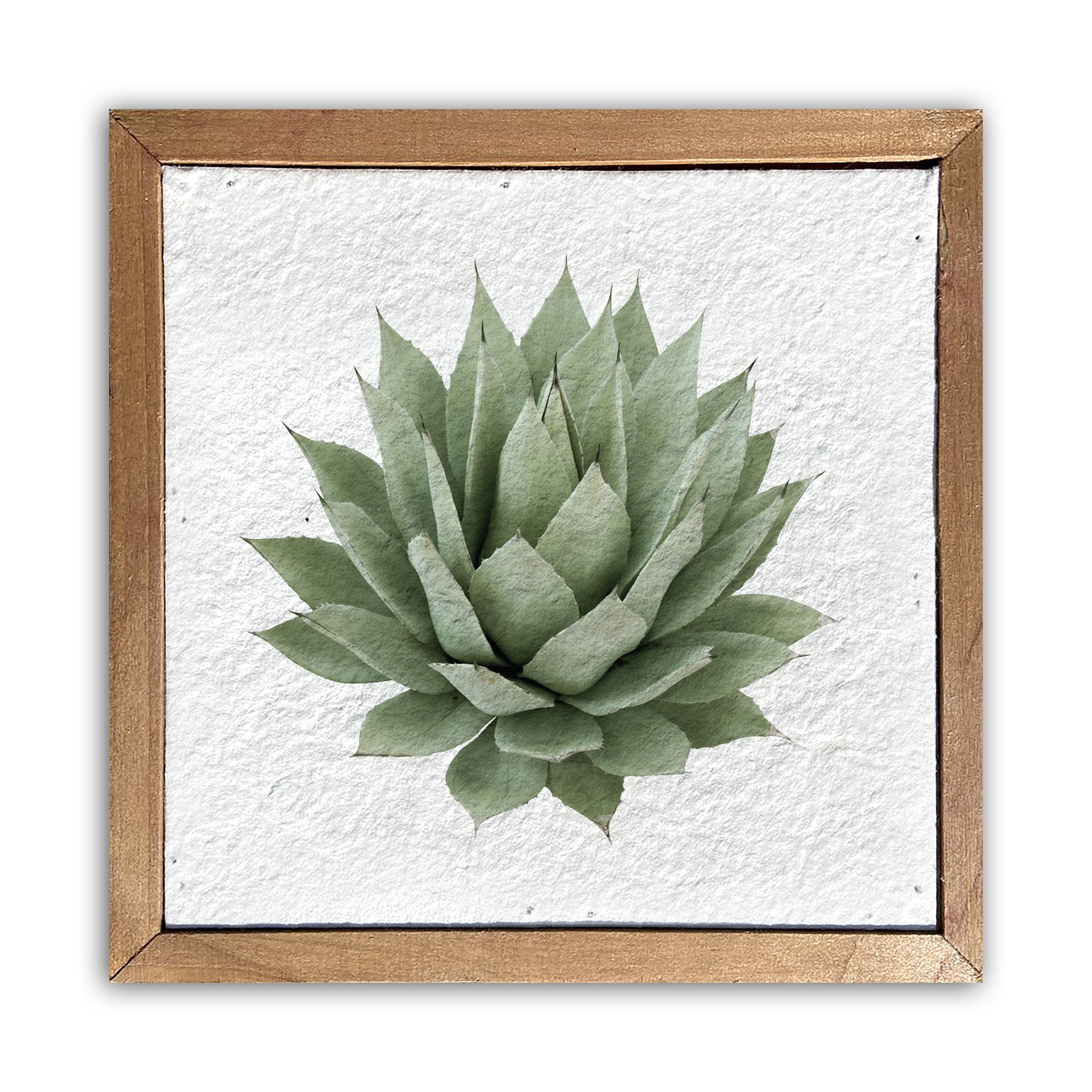 Agave plant / 6x6 Pulp Paper Wall Decor
