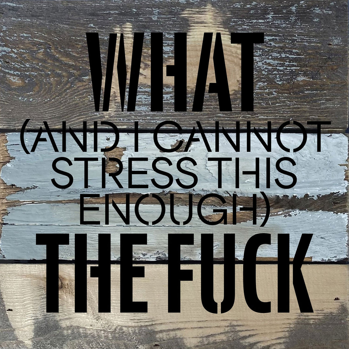 What (and I cannot stress this enough) the Fuck? / 8x8 Blue Whisper Reclaimed Wood Wall Decor