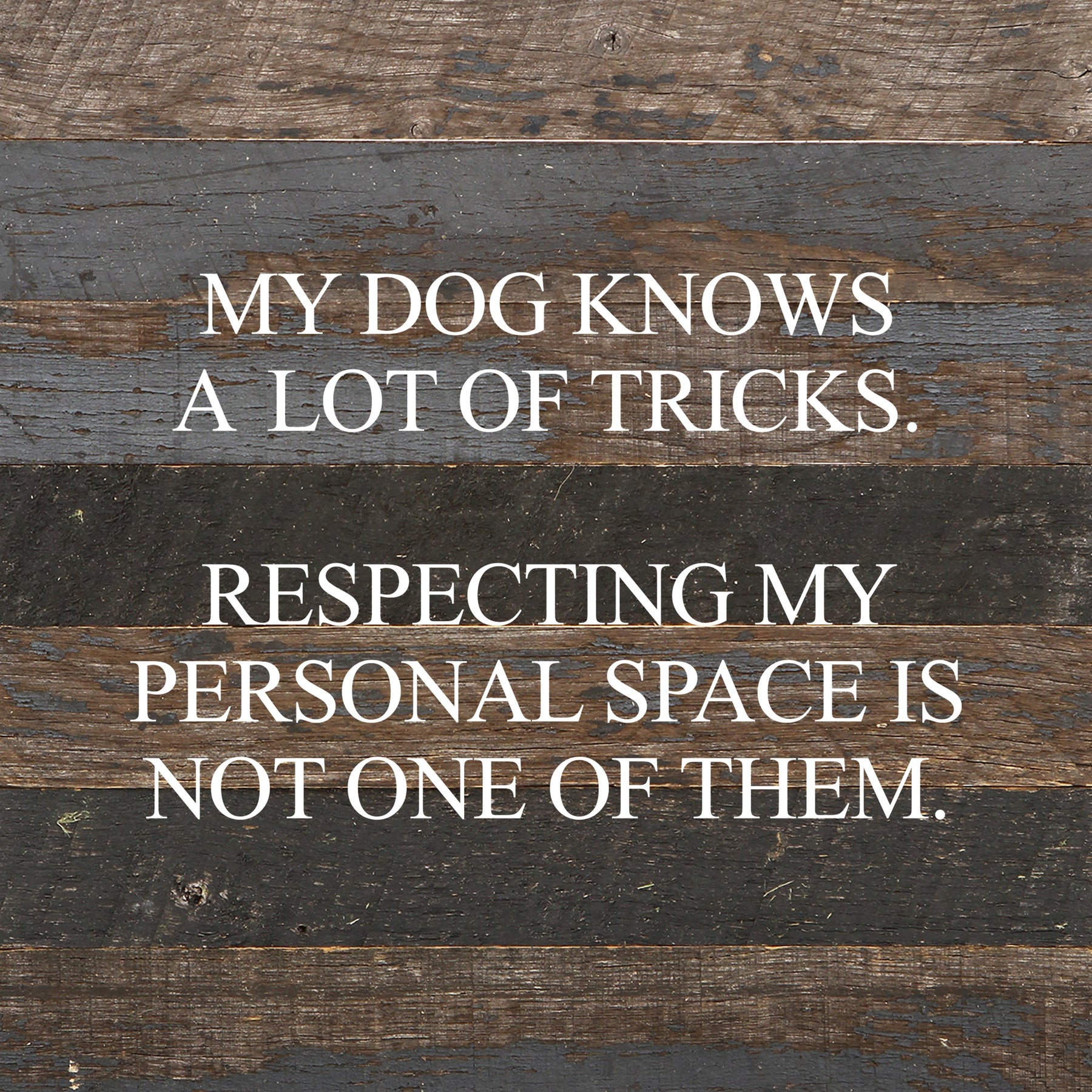 My dog knows a lot of tricks. Respecting my personal space is not one of them. / 10"x10" Reclaimed Wood Sign