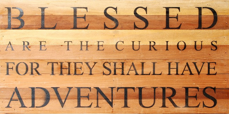 Blessed are the curious for they shall have adventures / 24"x12" Reclaimed Wood Sign