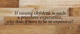 If raising children is such a priceless experience, why does it have to be so expensive? / 14"x6" Reclaimed Wood Sign