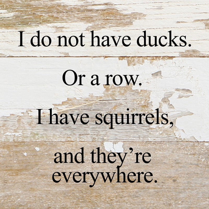 I do not have ducks. Or a row. I have squirrels, and they're everywhere. / 6"x6" Reclaimed Wood Sign